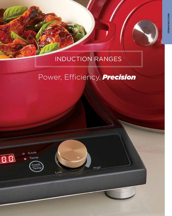 Spring USA Induction Systems J D Honigberg International Inc 